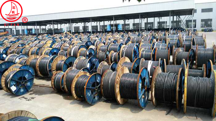 1702018199379196.jpg 1.jpg